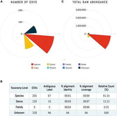 Human milk microbial species are associated with infant head-circumference during early and late lactation in Guatemalan mother-infant dyads